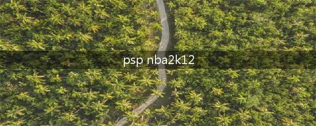 PSP游戏nba2k12操作说明(psp nba2k12)
