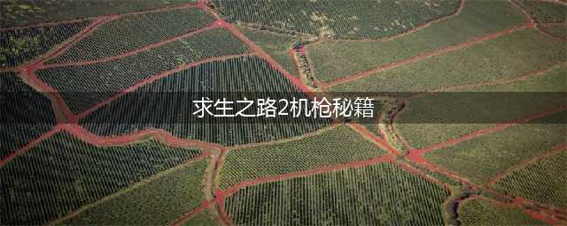 求生之路2秘籍怎么开不了 求生之路2秘籍代码大全(求生之路2机枪秘籍)