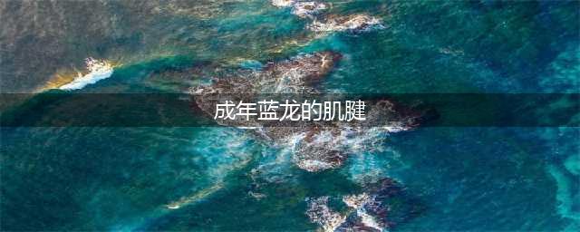 《魔兽世界怀旧服》成年蓝龙的肌腱怎么获得 肌腱获得方法分享(成年蓝龙的肌腱)