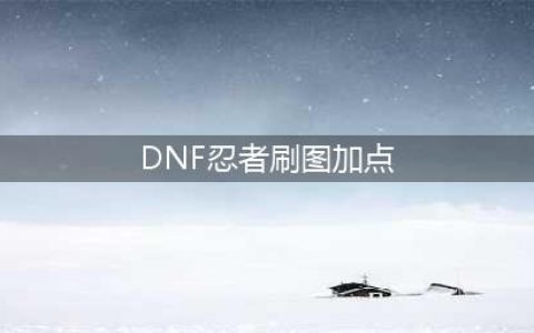 《DNF》忍者110级刷图加点详解(DNF忍者刷图加点)