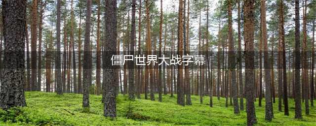 《僵尸世界大战》怎么设置中文翻译 中文翻译设置教程(僵尸世界大战字幕)