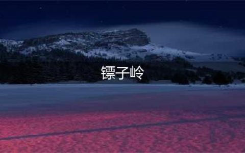 新盗墓笔记镖子岭藏宝图文教程分享(镖子岭)