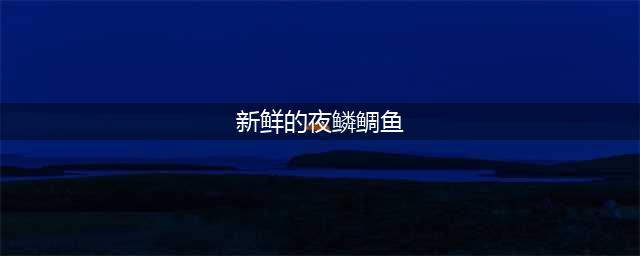 《魔兽世界怀旧服》夜鳞鲷鱼怎么时候出 夜鳞鲷鱼出现时间(新鲜的夜鳞鲷鱼)