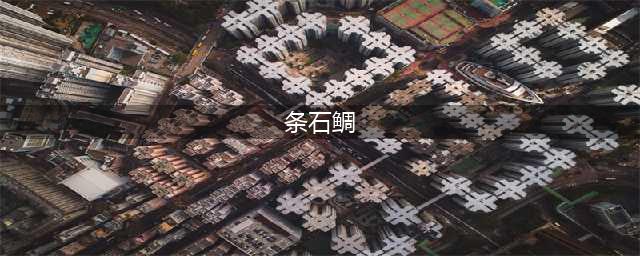 《集合啦动物森友会》条石鲷怎么抓 条石鲷捕捉攻略(条石鲷)