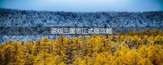 盗版三国志正式版攻略(盗版三国志正式版攻略)