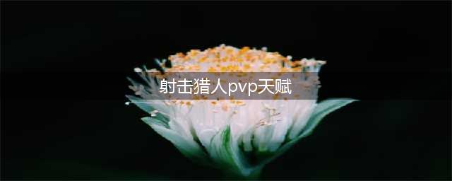 《魔兽世界怀旧服》猎人PVP天赋怎么加 猎人PVP天赋加点推荐(射击猎人pvp天赋)