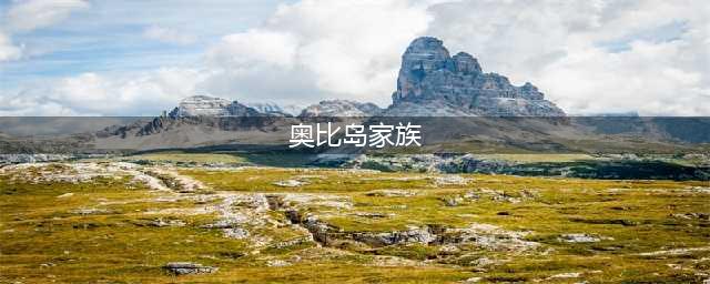 《奥比岛》家族攻略 奥比岛家族系统玩法教程(奥比岛家族)