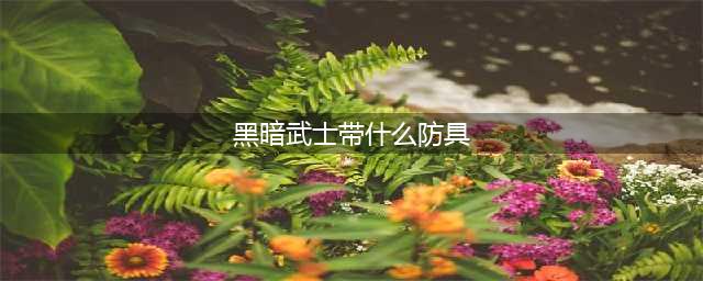 《dnf》中黑暗武士选什么盔甲跟武器好(黑暗武士带什么防具)