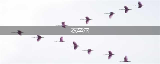 暗黑破坏神3衣卒尔在哪 衣卒尔位置介绍(衣卒尔)
