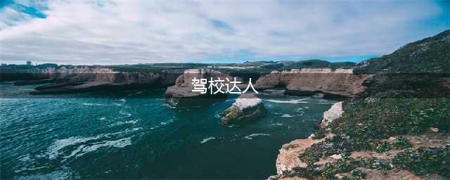 驾校模拟游戏手机版大全2021 最火驾校模拟类游戏手机版下载(驾校达人)