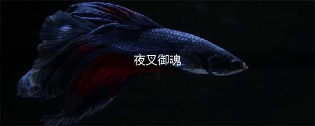 《阴阳师》夜叉御魂攻略 御魂搭配推荐(夜叉御魂)