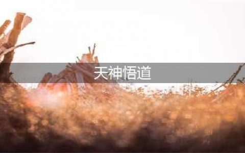 魔兽世界皇帝少昊声望怎么刷 皇帝少昊声望刷取方法(天神悟道)
