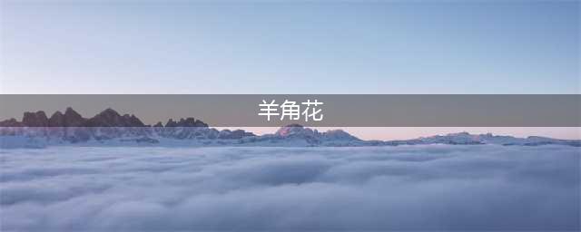 羊角花破解版怎么下载 破解版下载安装教程(羊角花)