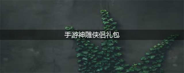 神雕侠侣2礼包在哪兑换 礼包激活码怎么用(手游神雕侠侣礼包)