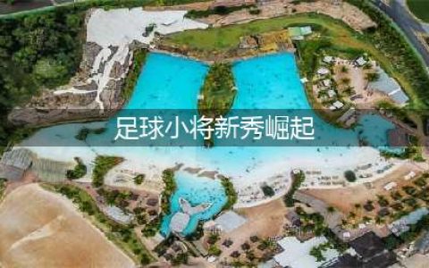 《足球小将新秀崛起》3s攻略 刷法技巧分享(足球小将新秀崛起)