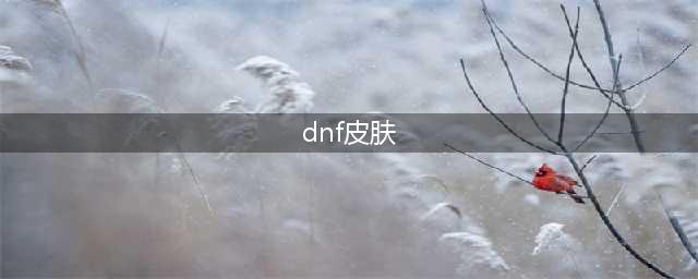 《DNF》皮肤仓库怎么打开 皮肤仓库打开方法介绍(dnf皮肤)