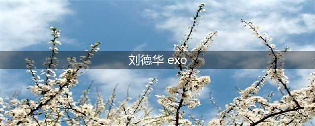 人在囧图(172)：EXO无视刘德华(刘德华 exo)