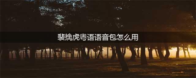 《王者荣耀》语音包设置使用方法 李小龙粤语语音包怎么用如何获取(裴擒虎粤语语音包怎么用)