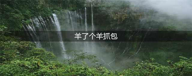 《羊了个羊》抓包教程攻略一览