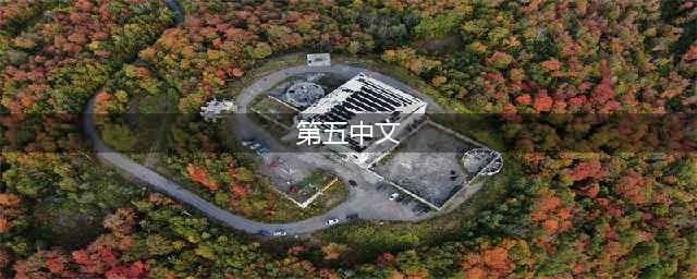 《第五人格》国际服怎么调中文 国际服中文设置方法