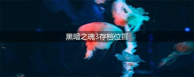 黑暗之魂3存档在哪