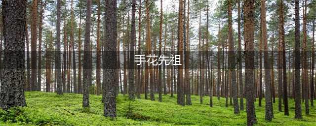 光遇手花先祖兑换表2022年 1月27日复刻先祖位置介绍