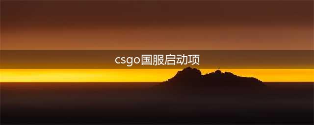 csgo国服启动项 csgo国服启动项代码