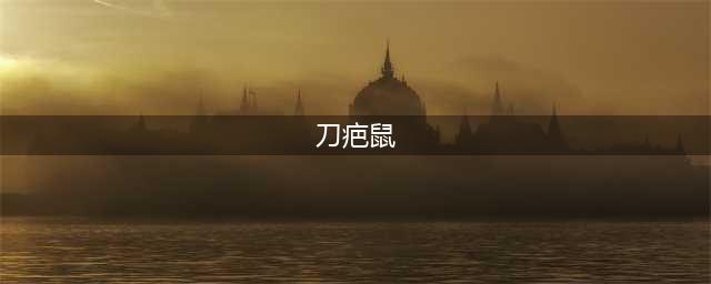 dnf刀疤鼠怎么打 刀疤鼠打法攻略