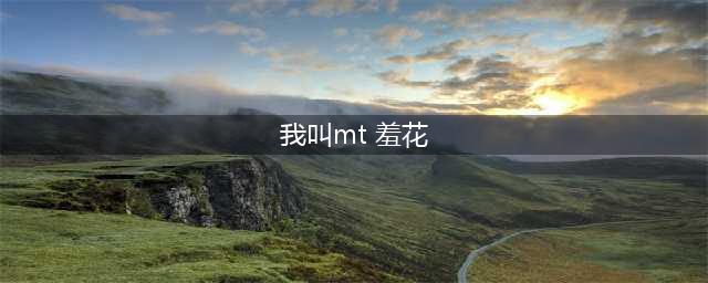 我叫MT归来羞花角色怎么样