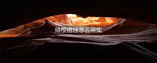 《原神》绯樱绣球怎么采集 绯樱绣球采集攻略
