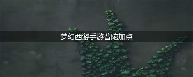 《梦幻西游手游》普陀如何加点 普陀加点方法分享