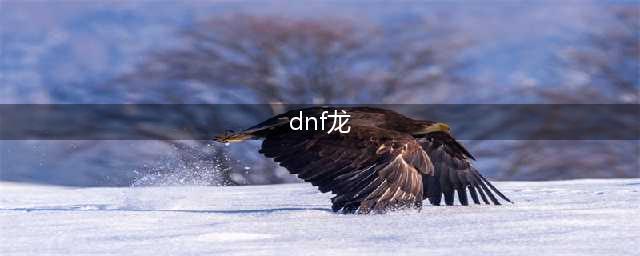 DNF巴卡妮三大龙机制介绍