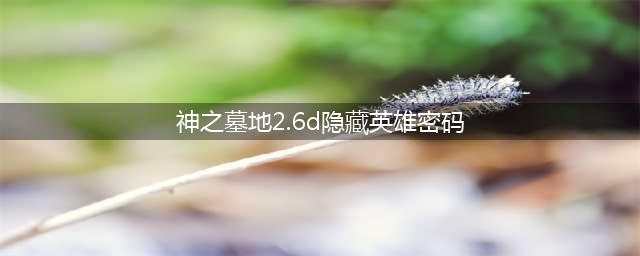 神之墓地2.6d隐藏英雄密码是什么 神之墓地2.6d隐藏英雄密码分享