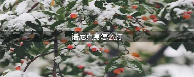 赛尔号怎么打谱尼真身 谱尼真身打法攻略