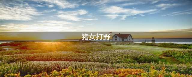 《lol》12.8版本打野猪妹玩法出装推荐