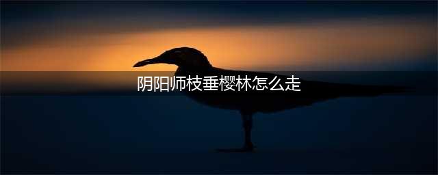 《阴阳师》枝垂樱林路线图怎么走 枝垂樱林路线图速通攻略