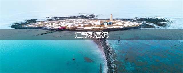《云顶之弈》狂野刺客阵容怎么搭配 狂野刺客阵容搭配推荐