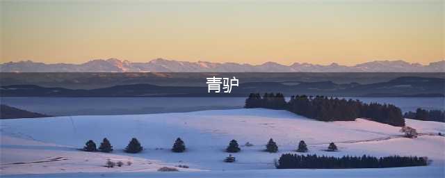 《九阴真经》坐骑青驴怎么样 坐骑青驴介绍