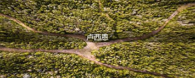 明日方舟卢西恩怎么打-卢西恩通关打法教学