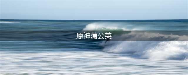 原神蒲公英分布图 具体一览