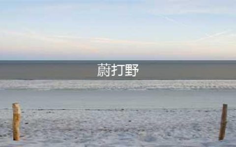 英雄联盟手游蔚怎么打野 蔚打野思路详解