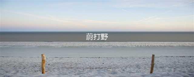 英雄联盟手游蔚怎么打野 蔚打野思路详解