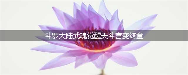 《斗罗大陆武魂觉醒》天斗宫变终章怎么通关 天斗宫变终章通关方法介绍