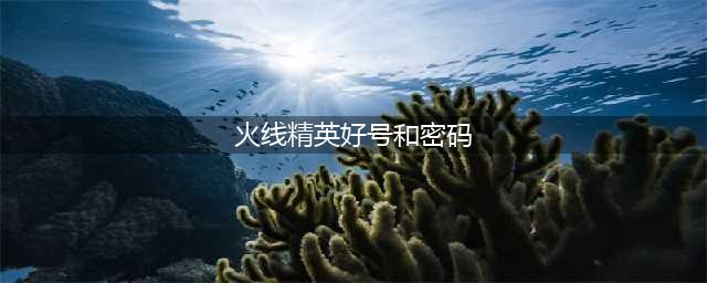 《火线精英》好号密码真的大全 土豪号没人玩不挤