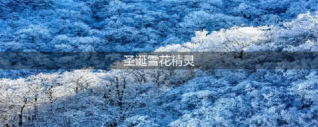 《DNF》最新圣诞雪花精灵/驯鹿精灵位置 圣诞糖果怎么刷最快