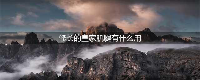 《魔兽世界》修长的皇家肌腱有什么用 8.15修长的皇家肌腱获得方法