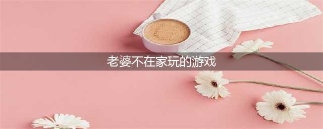 玩梗高手老婆不在家怎么过关