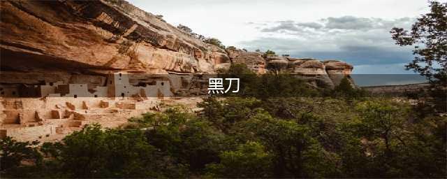 《艾尔登法环》黑刀属性详解 黑刀好用吗