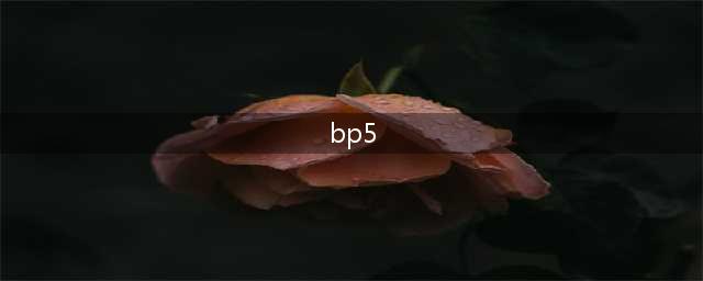 战双帕弥什BP-5怎么过 BP-5平民通关打法技巧攻略