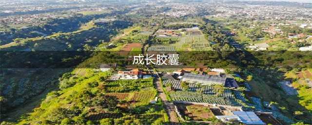《DNF》成长胶囊奖励有哪些 成长胶囊奖励预览(成长胶囊)